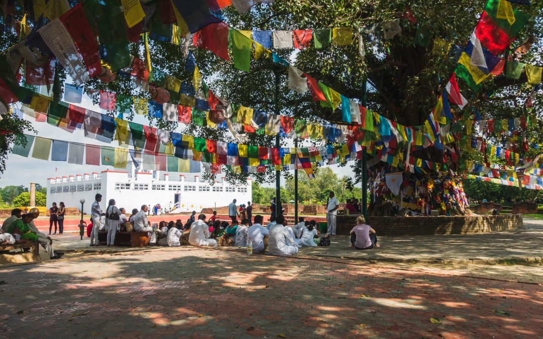 lumbini, bodhi tree, birth place of buddha, buddhism, nepal, travel, blog, humble and free
