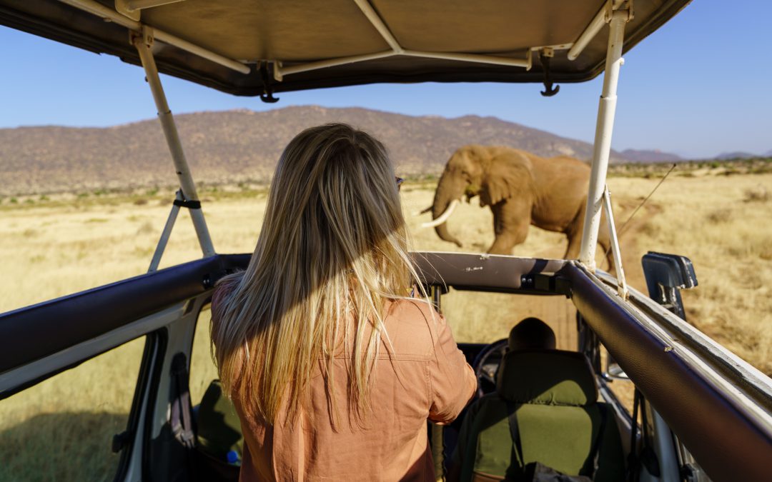 10 day, kenya, safari, travel, africa, blog, humble and free