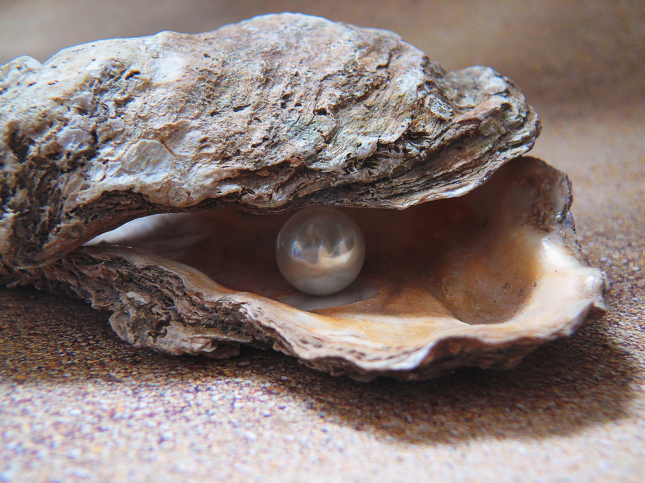 Oyster and Pearl, reasons to start embracing challenges, better you, self improvement, blog, blogger, humble and free