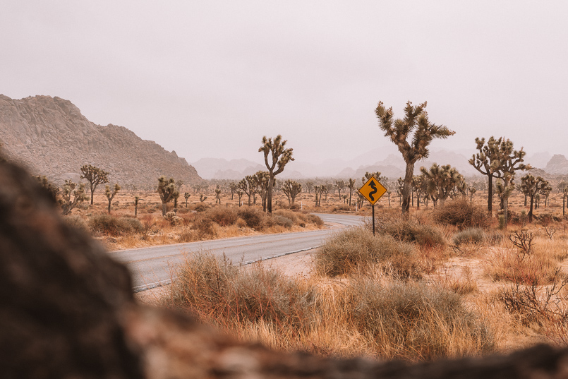 summer, travel, coronavirus, blog, humble and free, road trip