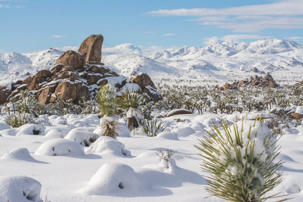 Joshua Tree, Best national parks to visit in winter, 10 best national parks in winter, road trip, humble and free, humbleandfree, blog, travel bloggers, us national parks 